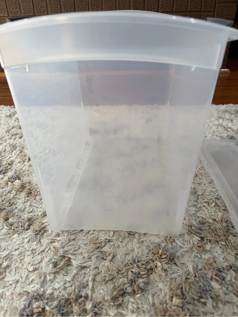 Sterilite Clear Plastic Storage File Container with Gray Lid Handle